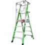 Little Giant Safety Cage